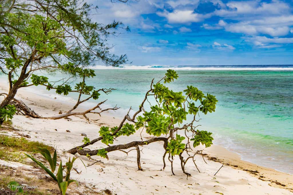 Dans les îles et sur la mer, l’archipel éloigné des Australes émerveille les rêveurs et les exaltés du temps présent. Rimatara, îles Australes, © Thierry Suzan – Tous droits réservés